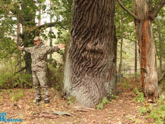 Встреча молодых специалистов с руководством Мостовского района