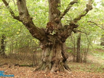Встреча молодых специалистов с руководством Мостовского района