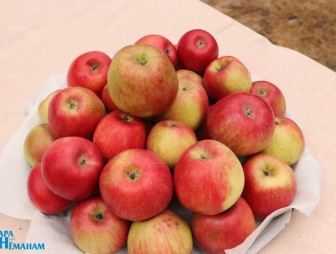 Встреча молодых специалистов с руководством Мостовского района