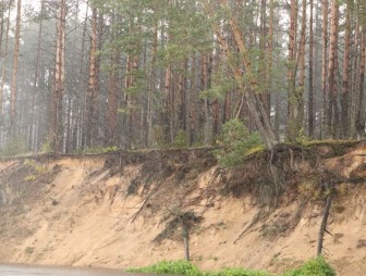 Первый районный профсоюзный форум