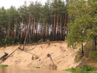 Первый районный профсоюзный форум