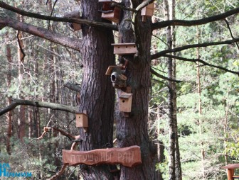 Областное выездное совещание по работе государственных природоохранных учреждений Гродненской области