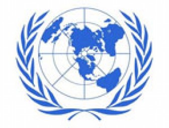 Представитель Беларуси возглавила рабочую группу ООН по нарушениям прав женщин