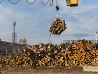 Девять белорусских предприятий деревообработки объединят в холдинг