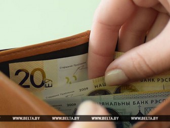 Базовую величину в Беларуси с 1 января 2017 года планируется увеличить до 23 рублей