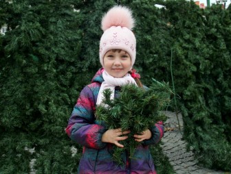 Более 1 тысячи елочных базаров будут работать в Беларуси 20-31 декабря