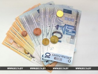 Минимальная заработная плата в Беларуси с 1 января составит 265 белорусских рублей