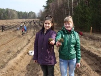 В Беларуси стартовала добровольная акция 'Неделя леса'