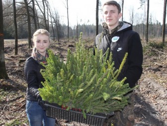 Гродненщина активно включилась в традиционную добровольную акцию «Неделя леса»