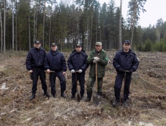 Следователи Мостовщины посадили свой лес