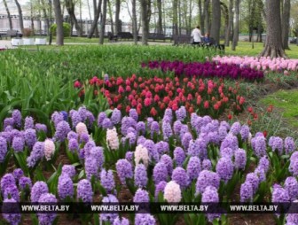 Днем 14 мая в Беларуси будет до 20 градусов тепла