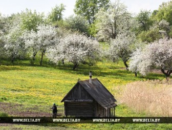 Теплая сухая погода ожидается в Беларуси в выходные