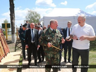 Лукашенко отмечает прогресс в реабилитации пострадавших от радиации территорий