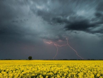 Грозы и шквалистый ветер ожидаются 21 июня в отдельных районах Беларуси