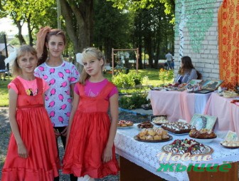 Праздник конфет «Сладкая феерия» прошел в Новогрудском районе