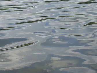 Два человека утонули в водоемах Гродненской области за минувшие выходные