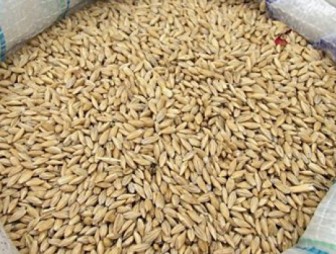 Для приусадебного хозяйства: зерно и сено продаёт 'Мостовчанка'