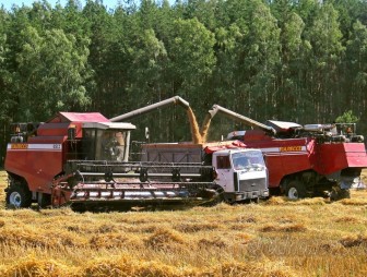 В Гродненской области убрано почти 60 процентов площадей зерновых и зернобобовых культур