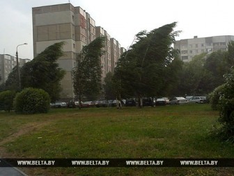 Южный циклон с дождем и ветром пришел в Беларусь