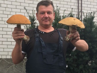 Мостовчанин нашёл грибы весом почти 700 г
