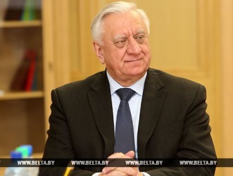 Мясникович призывает сенаторов активно подключиться к подготовке местных выборов