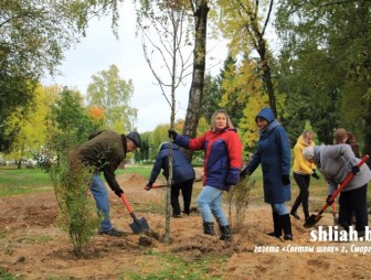 В Гродненской области к акции 'Чистый лес' присоединились около 4 тысяч человек