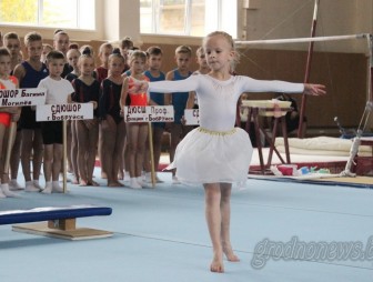 В Гродно проходит спартакиада детско-юношеских спортивных школ по спортивной гимнастике