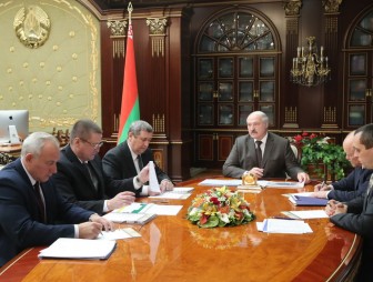 Александр Лукашенко поручил к 7 ноября завершить уборочную и поторопил с подготовкой земли к весенним работам