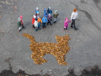 В Гродно появилось 'Лиственное граффити' в поддержку безнадзорных животных