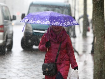 Мокрый снег и до 3 градусов мороза ожидается в Беларуси в выходные