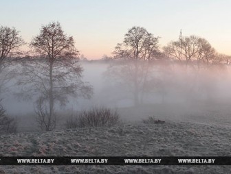 Туман и гололед прогнозируются в Беларуси 24 ноября