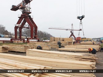 Крупная австрийская компания может построить в Гродненской области деревообрабатывающий завод