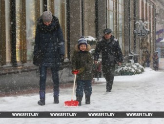 Дождь с мокрым снегом и порывистый ветер ожидаются в Беларуси 12 декабря