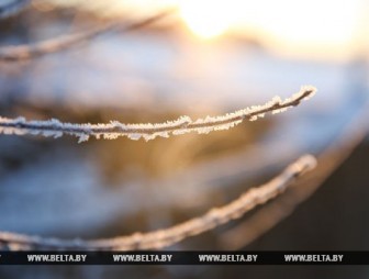 Мокрый снег, гололед и туман прогнозируются в Беларуси 17 декабря