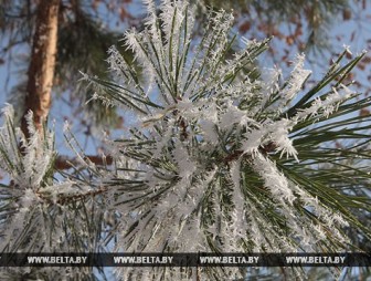 Морозы до 9 градусов ожидаются в Беларуси в начале следующей недели