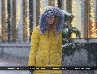 Некомфортная погода со снегом и порывистым ветром ожидается в Беларуси на текущей неделе