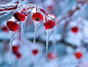 До 16 градусов мороза ожидается в Беларуси 22 января