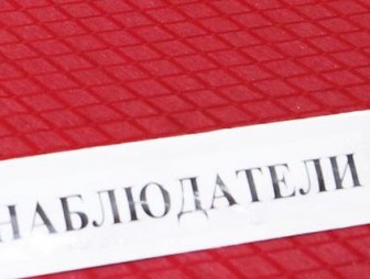 Более 28 тысяч национальных наблюдателей аккредитовано на местных выборах в Беларуси