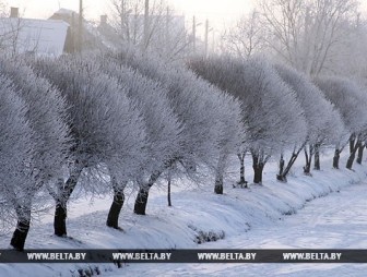 В выходные дни в Беларуси потеплеет