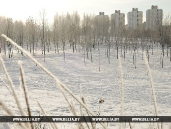 Сильные морозы прогнозируются в Беларуси на этой неделе