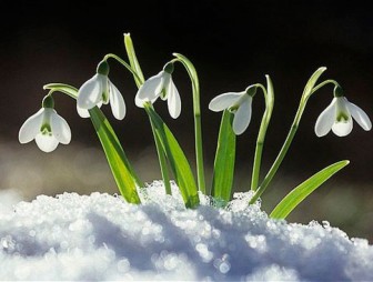 До 10 градусов тепла по югу и мокрый снег по северо-западу Беларуси ожидается 26 марта