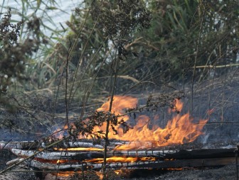 Палы грозят пожарами. С начала года в службу «101» Гродненской области поступило более 50 сообщений о возгорании травы