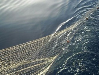 Рыбак на Немане запутался в сетях и утонул