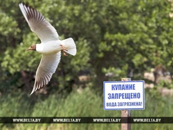 В Беларуси ограничено купание в водоемах восьми зон отдыха
