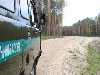 Белорусские пограничники за трое суток задержали около 30 нелегальных мигрантов