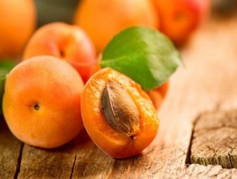 В Гродненском районе двое сельчан лишили соседку урожая абрикосов