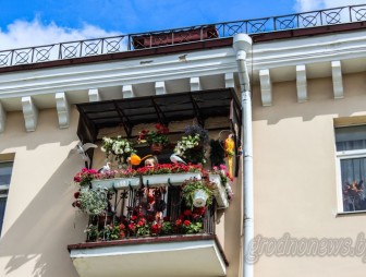 «Это целая мини-оранжерея!»: как балкон в центре Гродно превратился в арт-объект