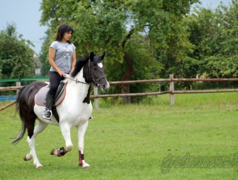 Конкур, тракененские лошади и конь-нянька: как под Лидой работает конно-спортивная школа