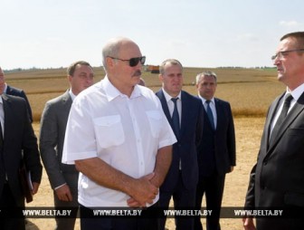 'Чтобы собрать до зернышка' - Лукашенко ждет от аграриев максимум напряжения во время уборочной