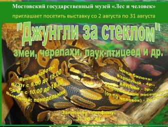 УК «Мостовский государственный музей «Лес и человек» со 2 по 31 августа приглашает посетить выставку «Джунгли за стеклом»
